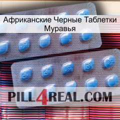 Африканские Черные Таблетки Муравья viagra4